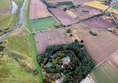 obiekt na sprzedaż - Głogów