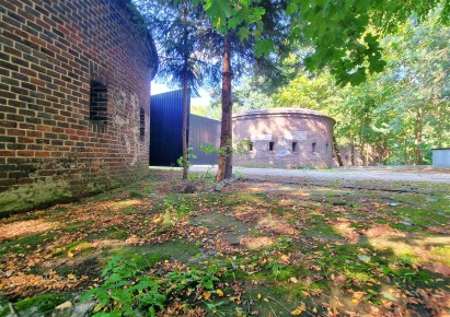 lokal na sprzedaż - Głogów