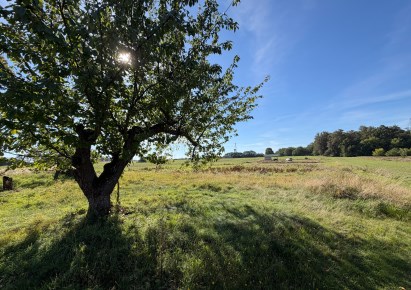 działka na sprzedaż - Radwanice, Jakubów